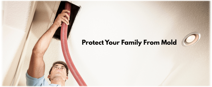 Air Duct Mold Removal in Dallas TX